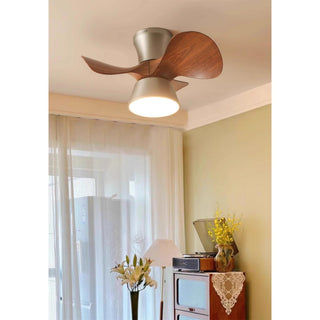 Caluelle Ventilateur de Plafond Lumineux