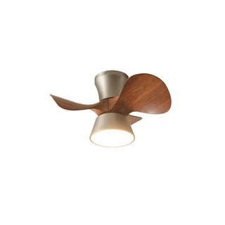 Caluelle Ventilateur de Plafond Lumineux