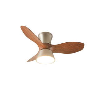 Caluelle Ventilateur de Plafond Lumineux