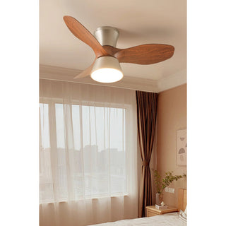 Caluelle Ventilateur de Plafond Lumineux