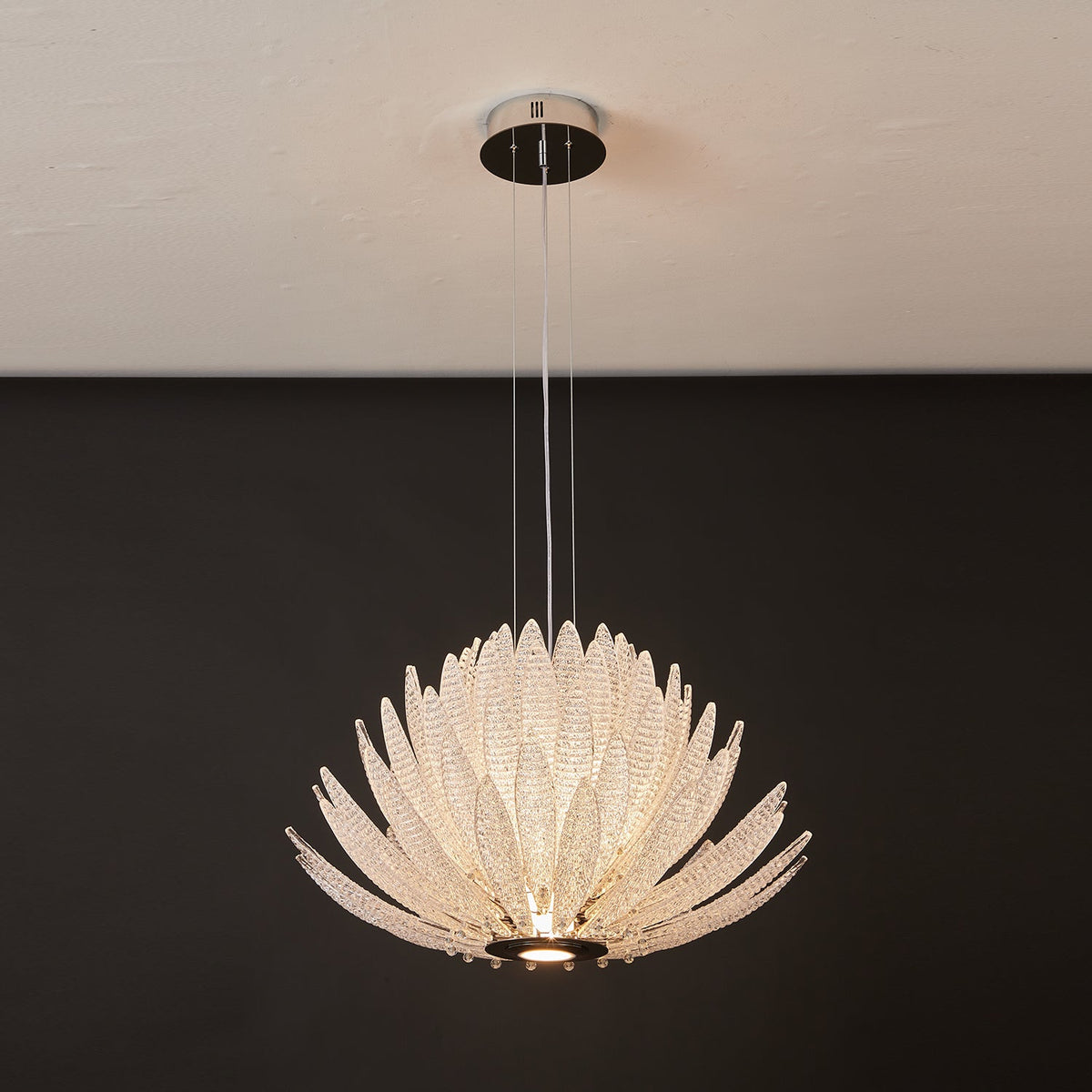 Chrysant Lustre