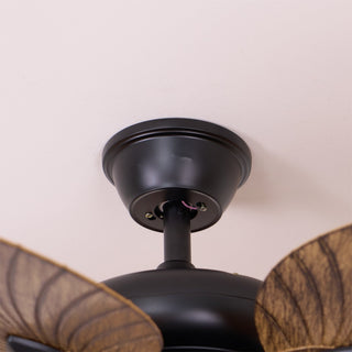 Viraalel Ventilateur de Plafond Lumineux