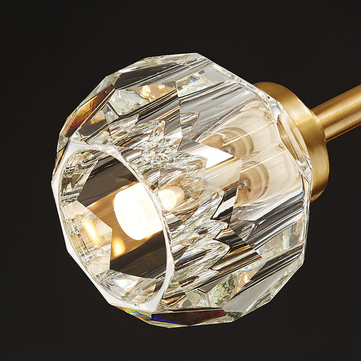 Reniella Lustre