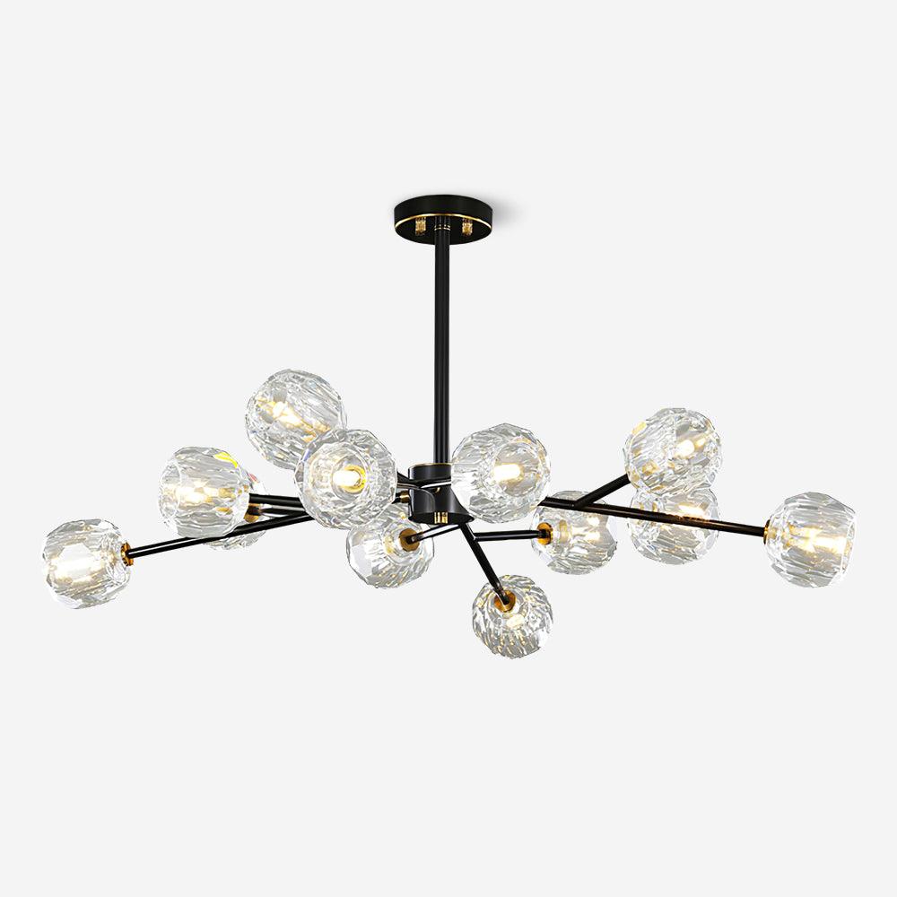 Reniella Lustre