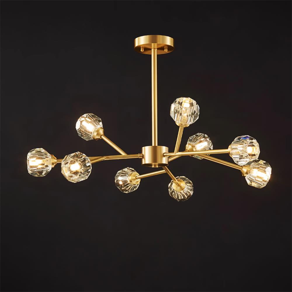 Reniella Lustre