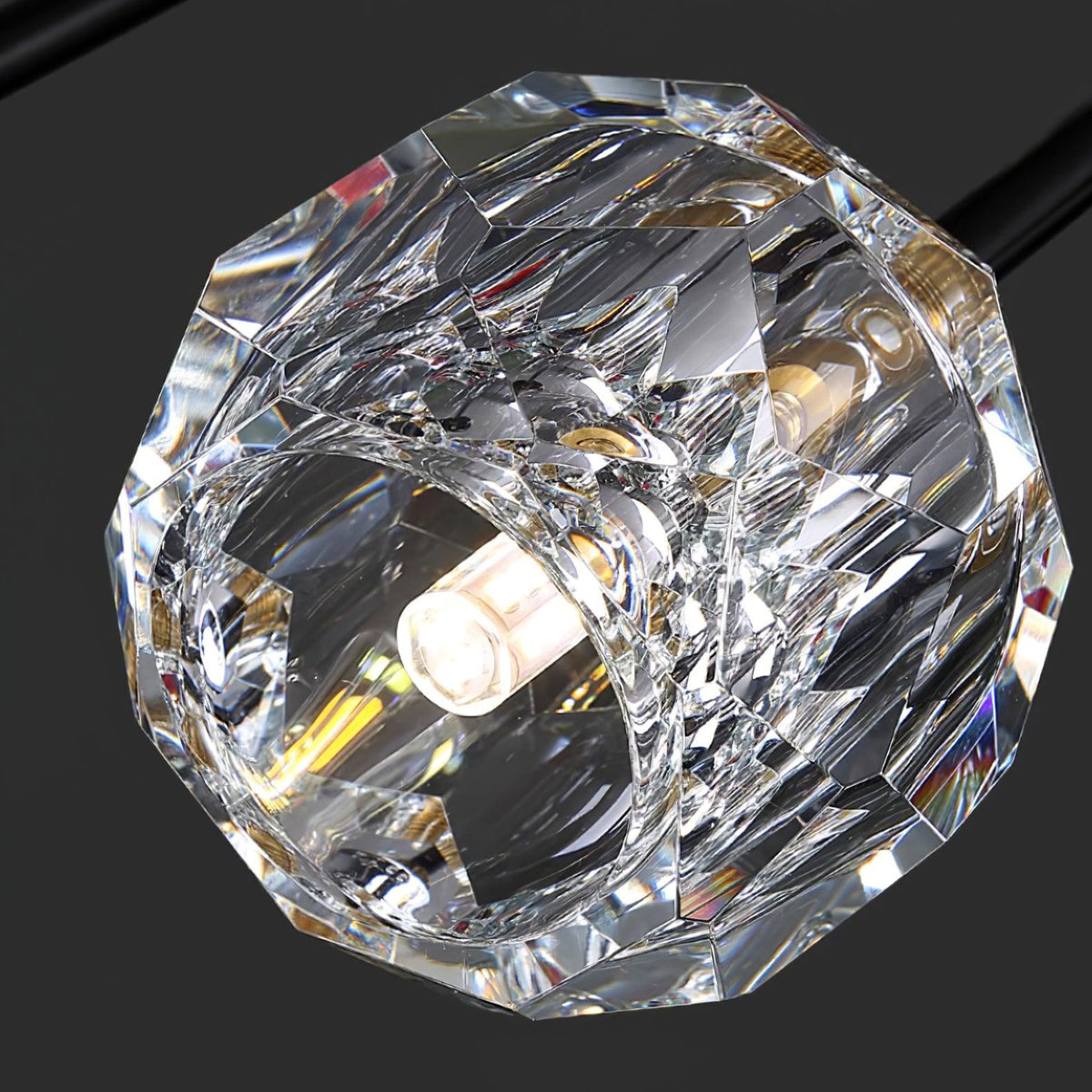 Reniella Lustre