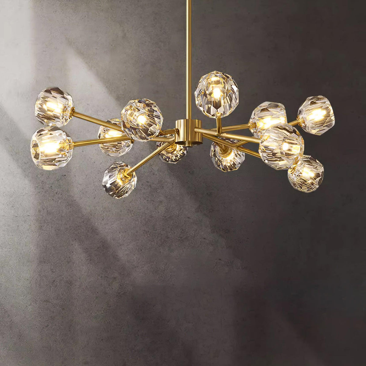 Reniella Lustre