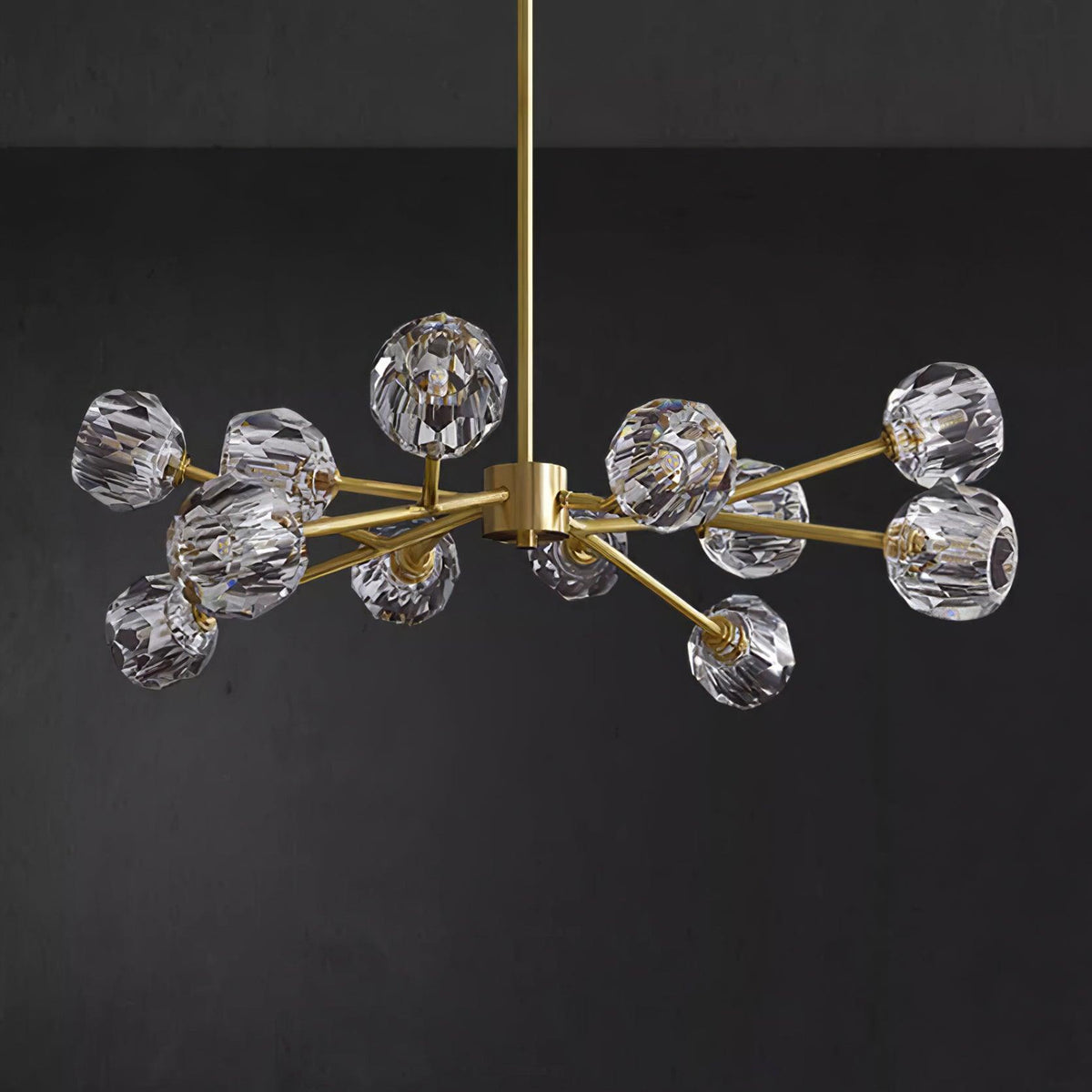 Reniella Lustre