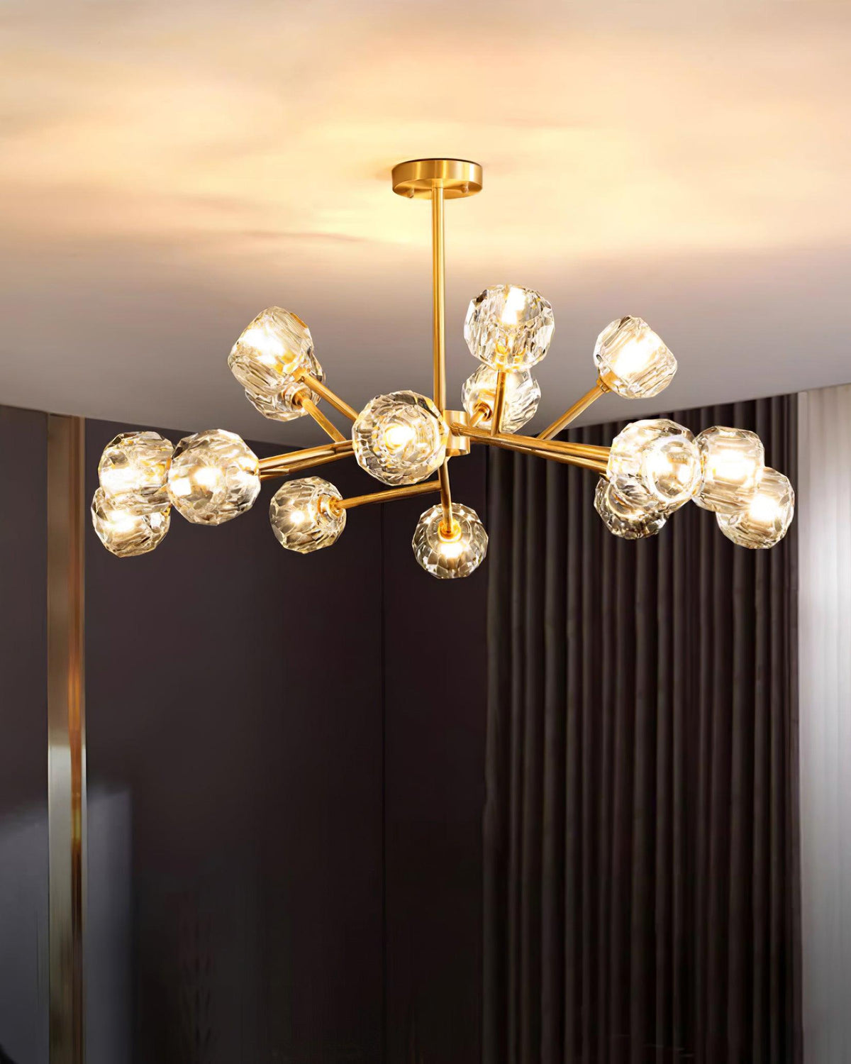 Reniella Lustre