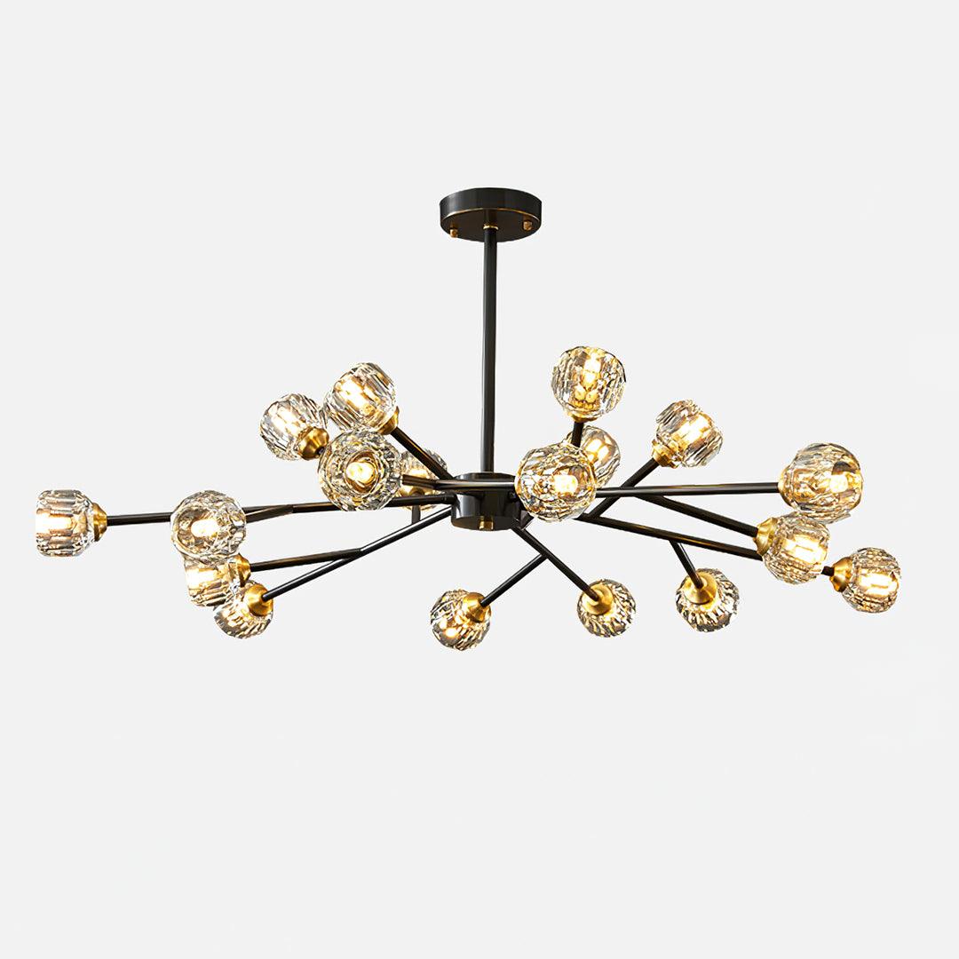 Reniella Lustre