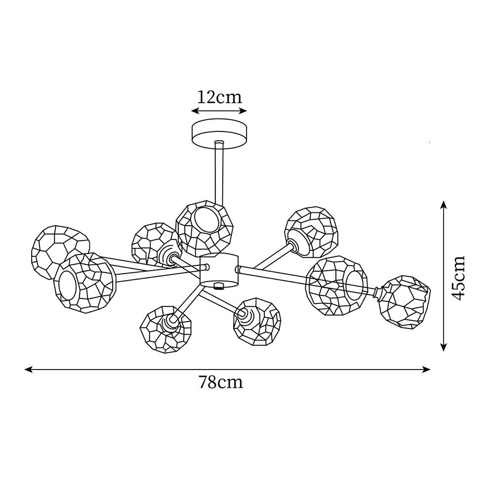 Reniella Lustre