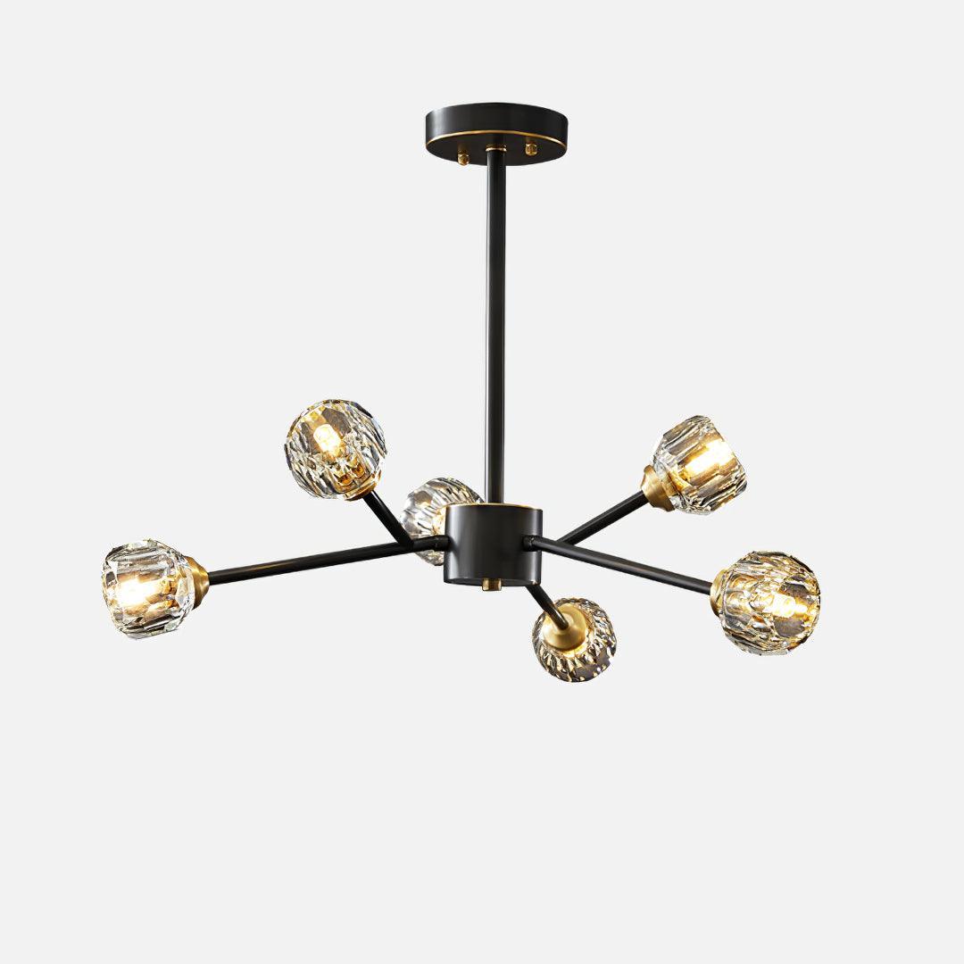 Reniella Lustre