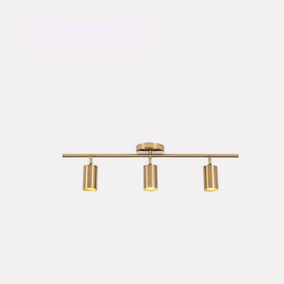 Cacaryra Plafonnier Moderne Minimaliste en Laiton