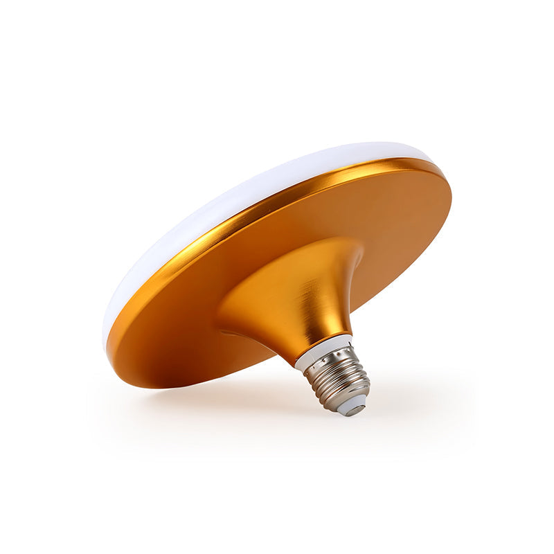 Elaisian Ampoule LED