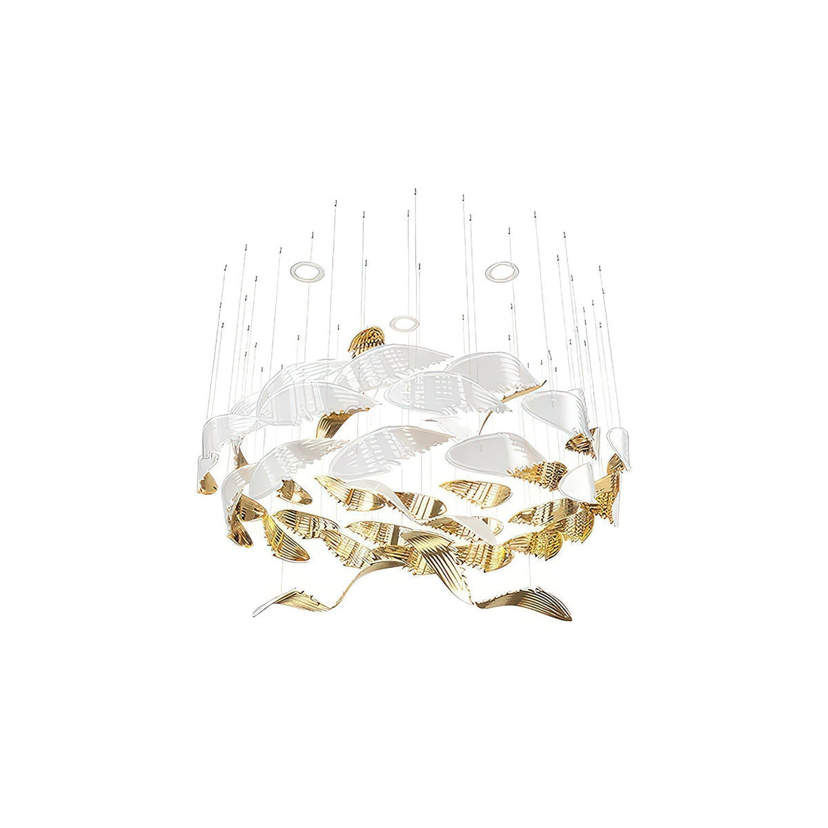 Soreniane Oiseau Vol Lustre