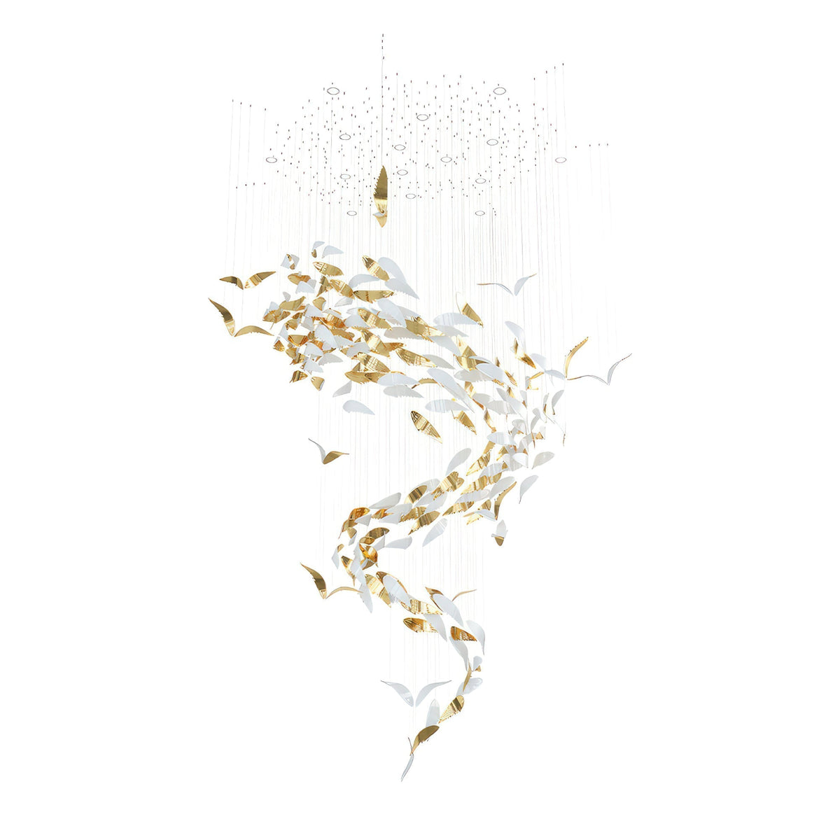 Soreniane Oiseau Vol Lustre