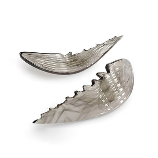 Alvenan Oiseau Vol Lustre