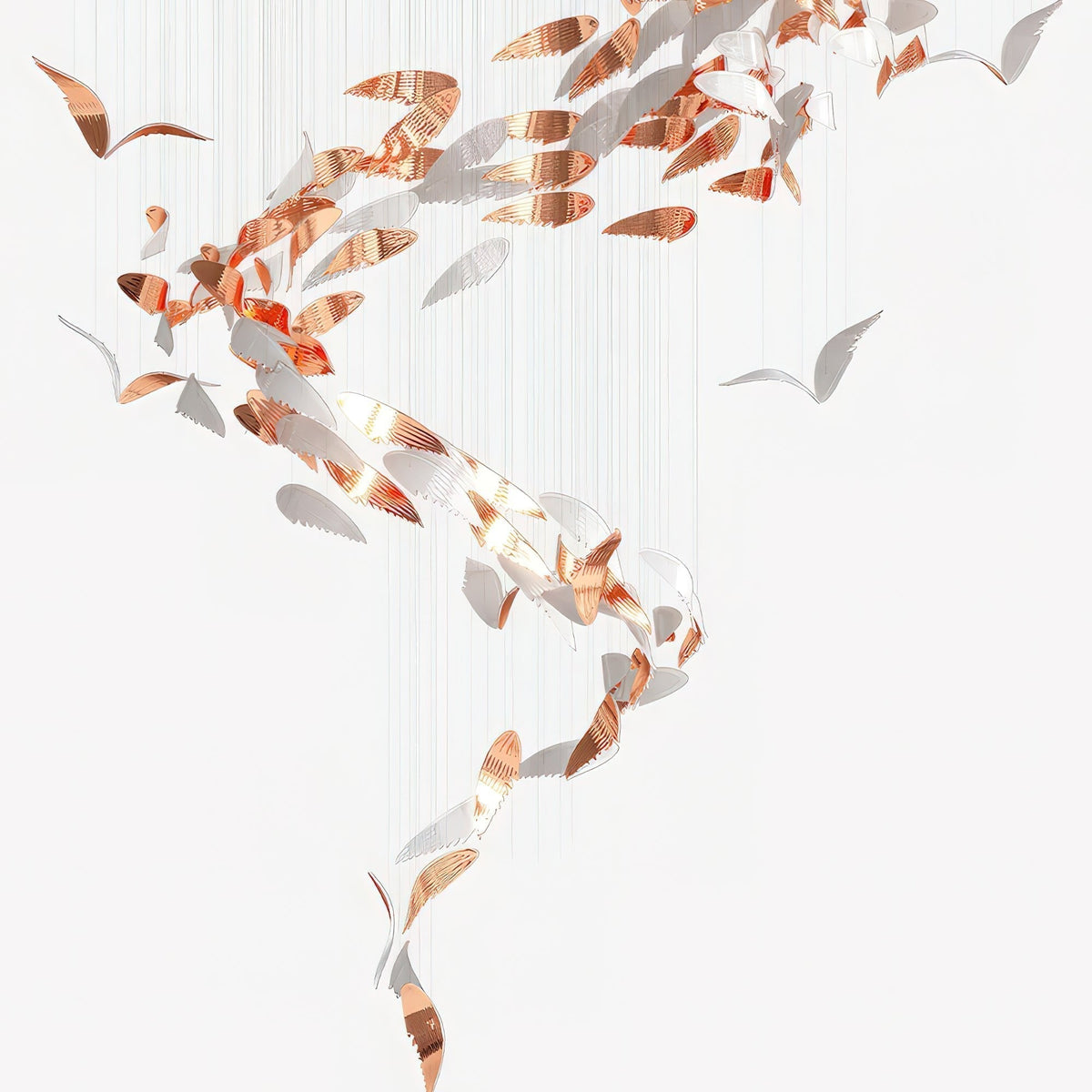 Soreniane Oiseau Vol Lustre