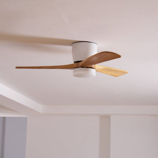 Ventilateur de plafond nordique en bois Ezra avec lumière