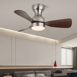 Aurdorus Plafonnier Ventilateur Moderne en Bois