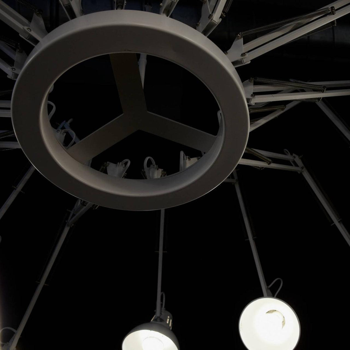 Taluna Lustre Noir à Bras Multiples Ajustables