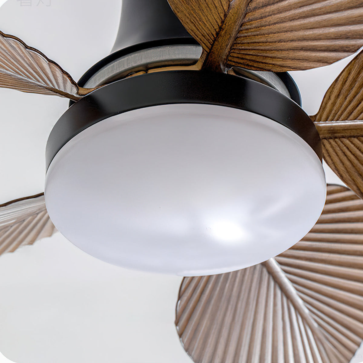 The Maris Ceiling Fan Light shown with the light turned on, casting a warm glow.