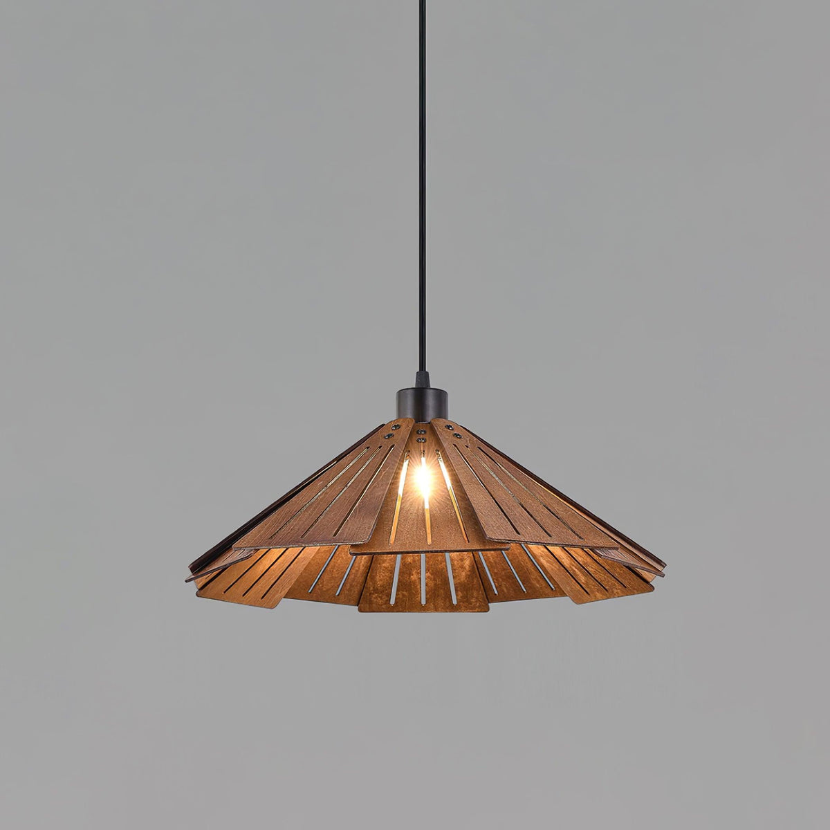 Isria Suspension