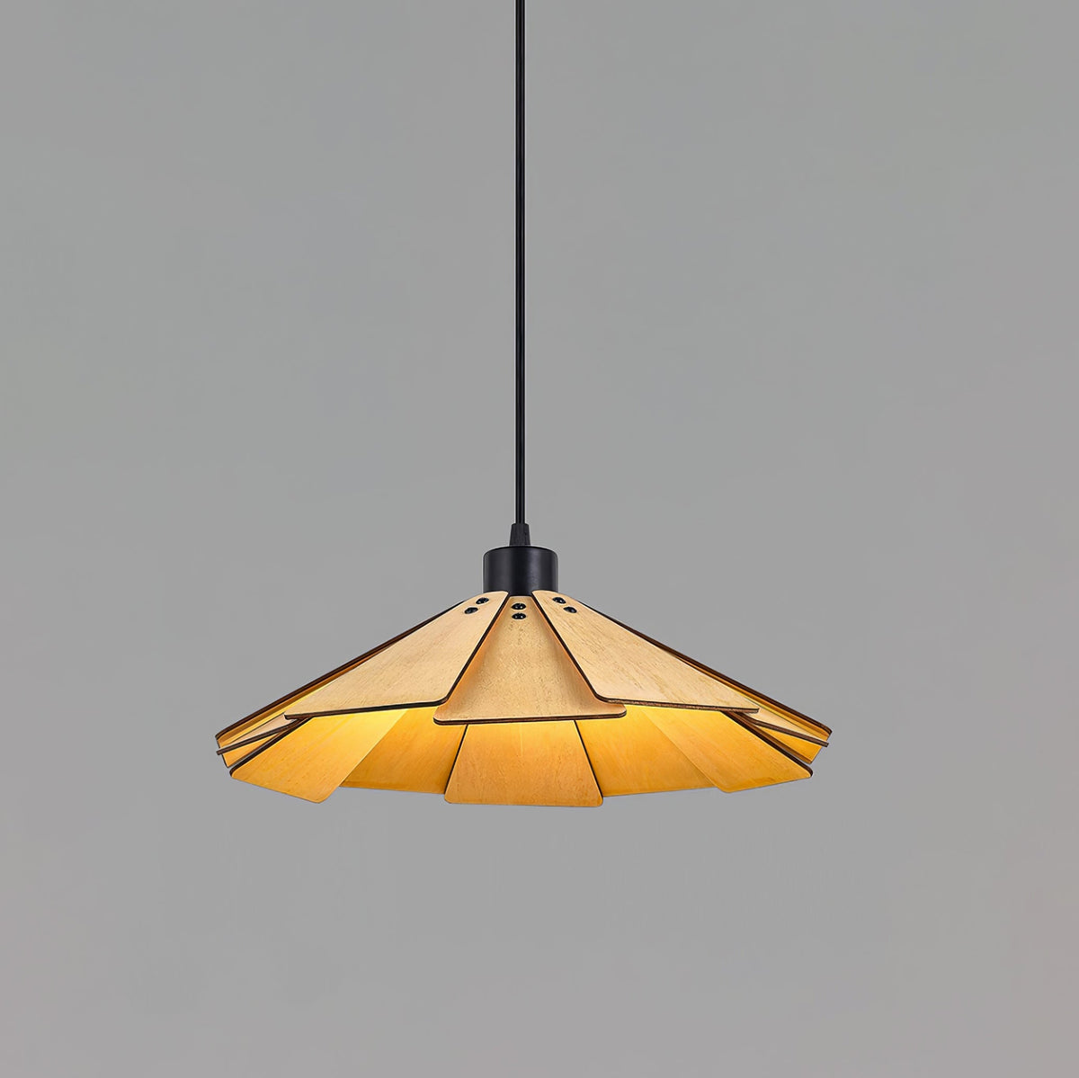 Isria Suspension
