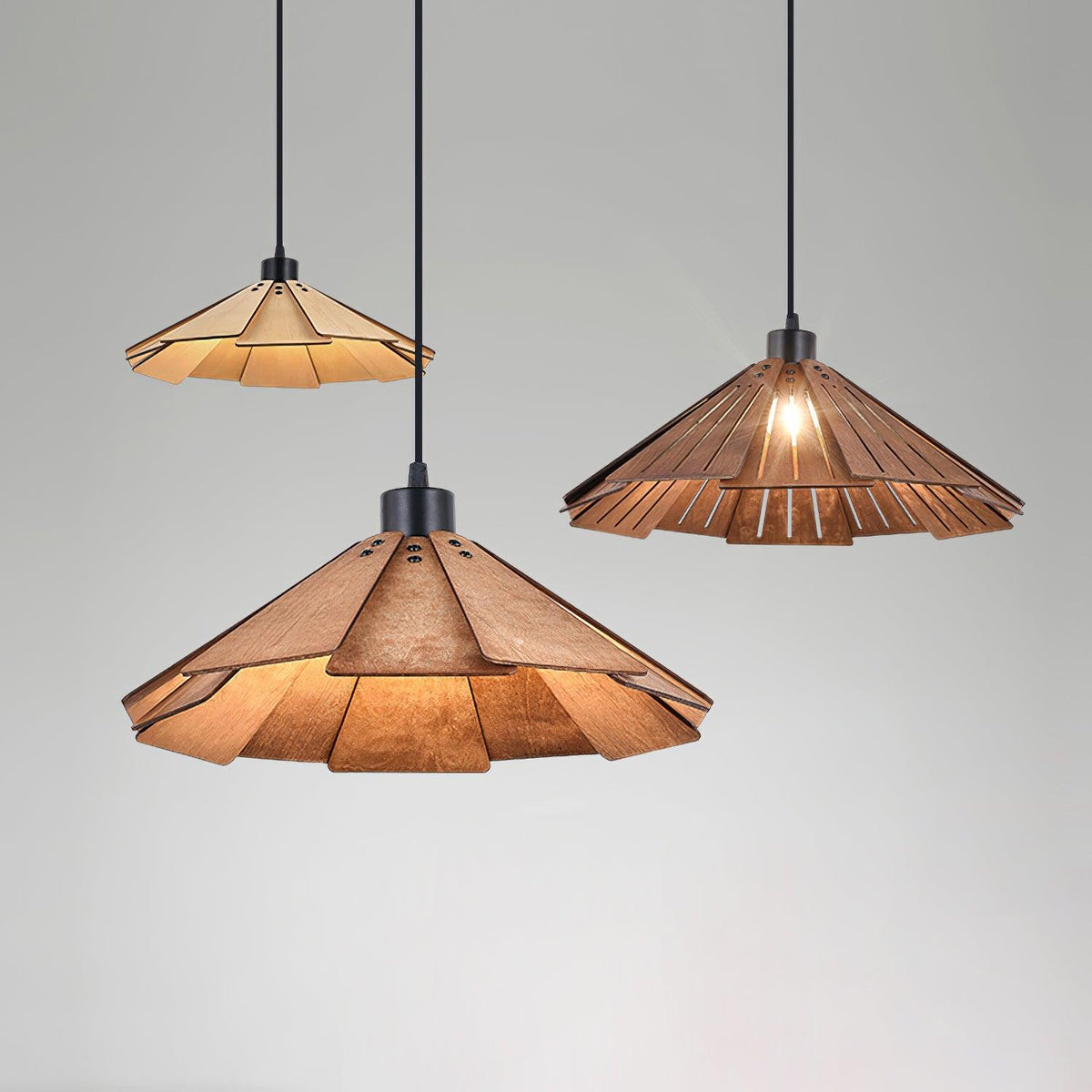 Isria Suspension
