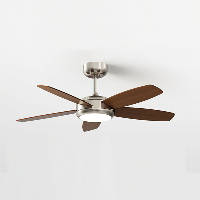 The Destin Ceiling Fan Light against a plain background.