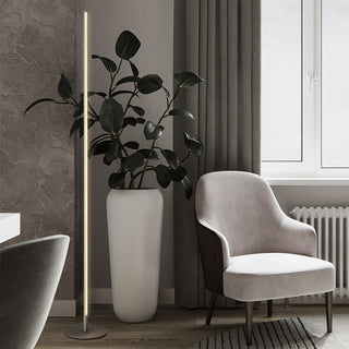 Ray Simple Linéaire LED Lampadaire Or Noir Métal Gel de Silice Salon Chambre