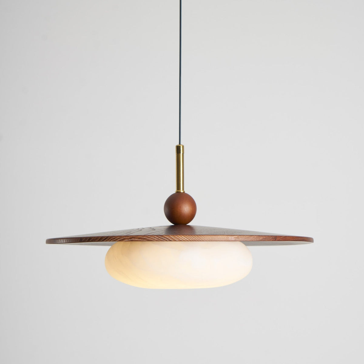 Viraeriella Suspension