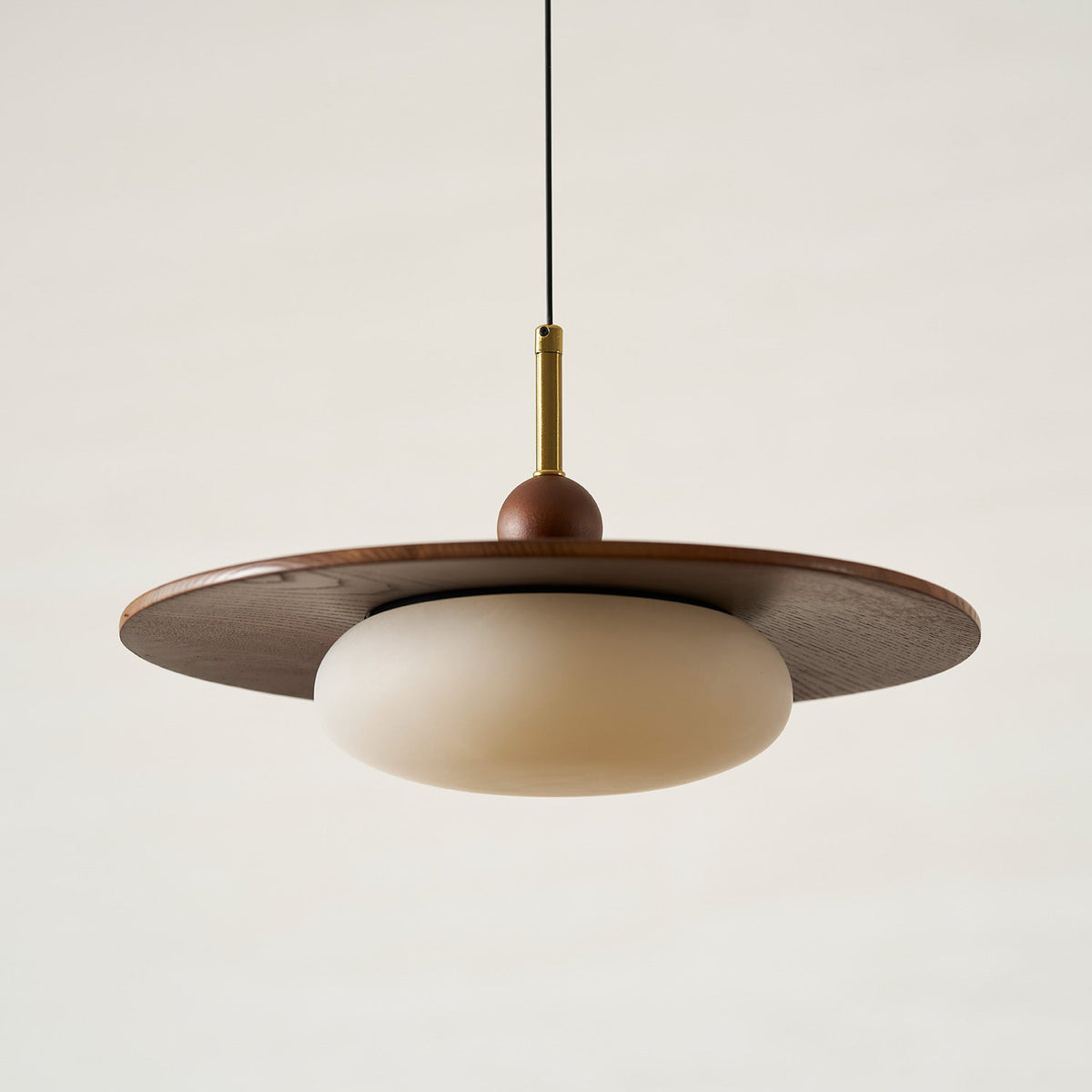 Viraeriella Suspension