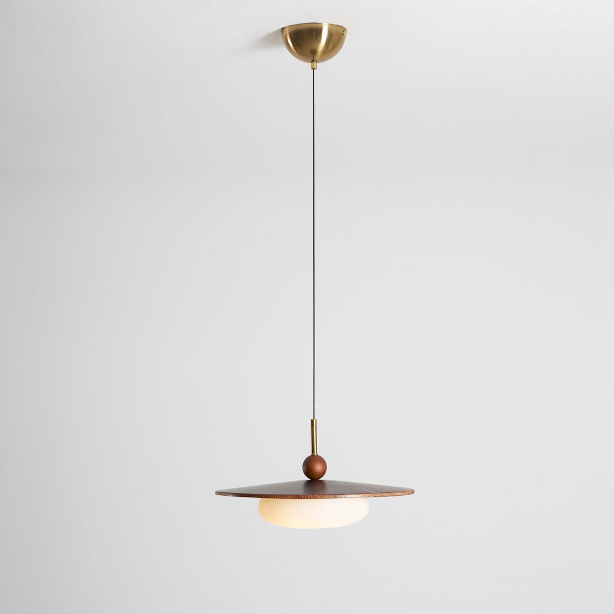 Viraeriella Suspension