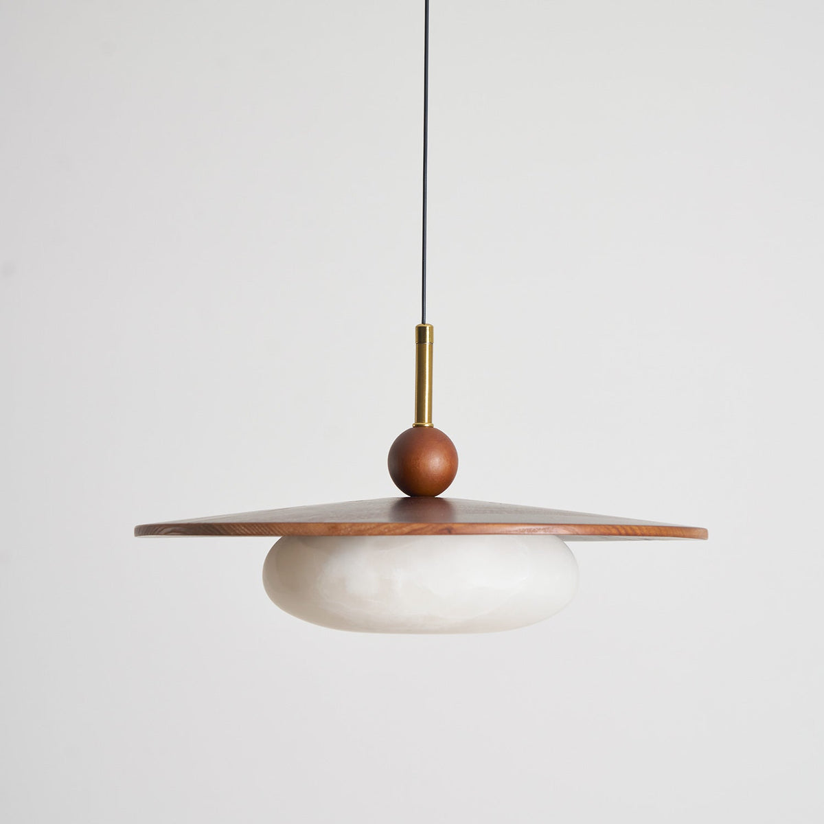 Viraeriella Suspension