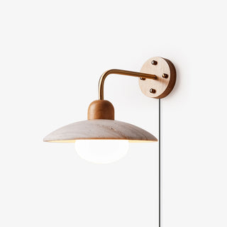 Dome Arm Plug-in Wall Lamp-Neutral Decor