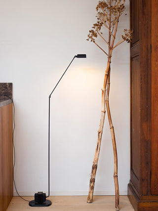 Nerilux Lampadaire Réglable