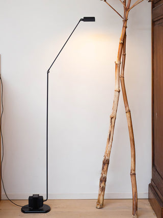 Nerilux Lampadaire Réglable