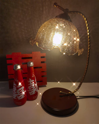 Kostor Lampe de Table