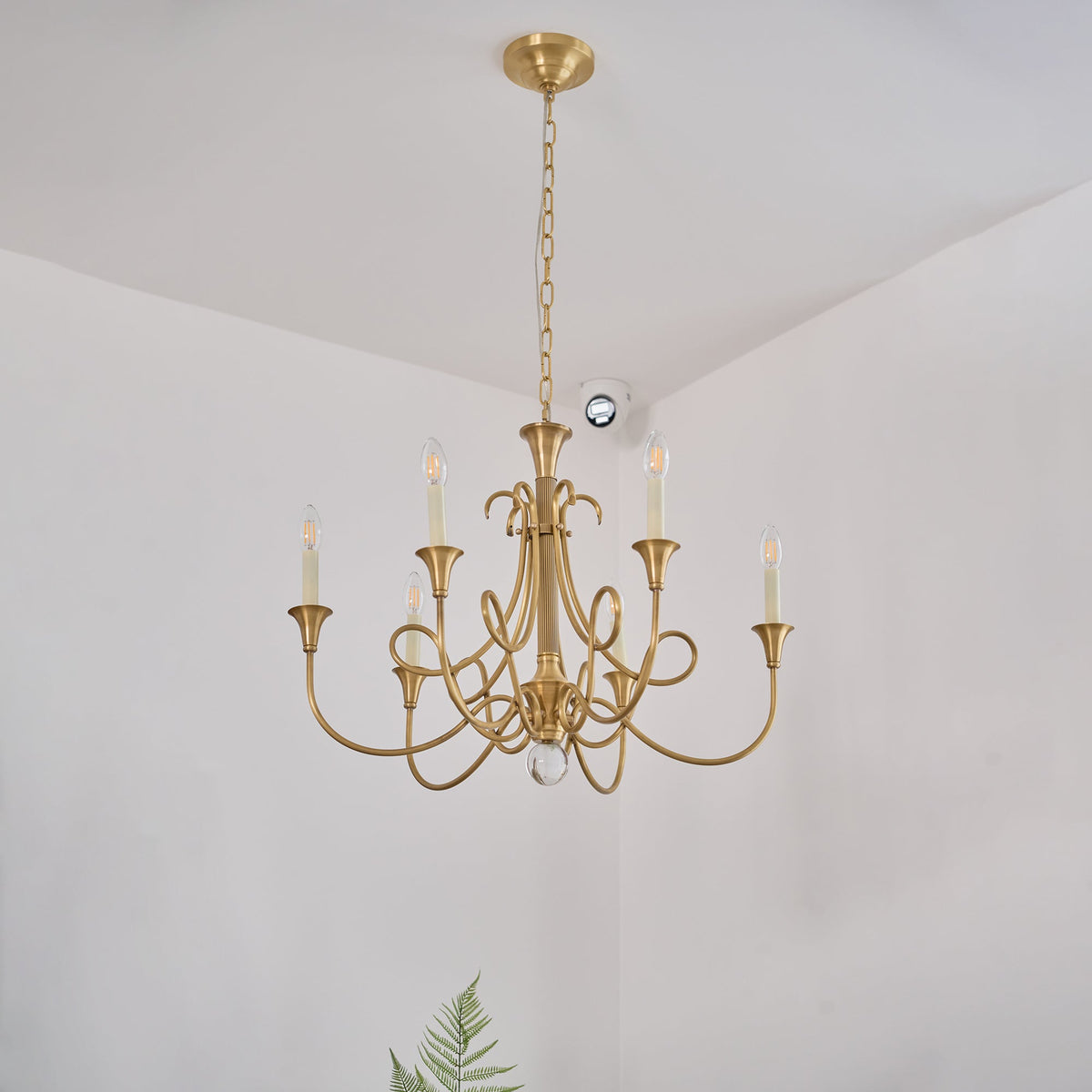 Braid Lustre Cristal Laiton Double Vintage Salon