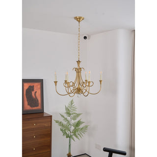 Braid Lustre Cristal Laiton Double Vintage Salon