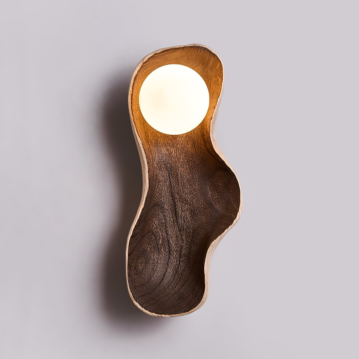 Mellow Rootlight Applique Murale