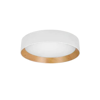 Caraeara Plafonnier Rond Moderne Minimaliste