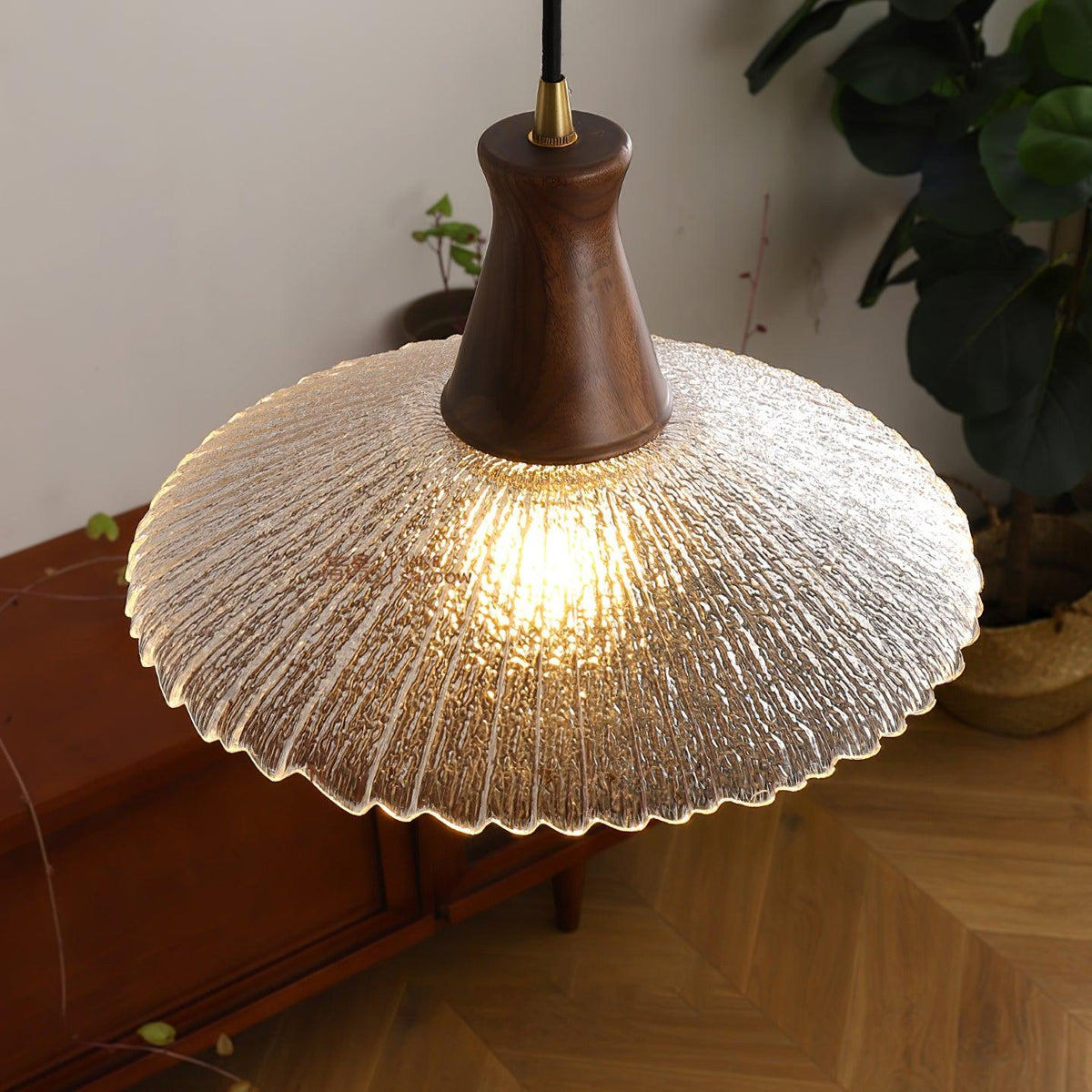 Renelena Suspension