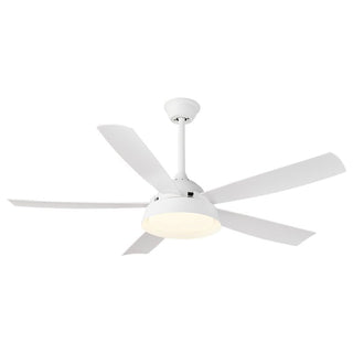 Ventilateur de Plafond Orvino en Bois avec Lumière