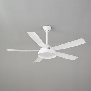Ventilateur de Plafond Orvino en Bois avec Lumière