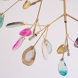 Agate Lustre à Branches Multicolores