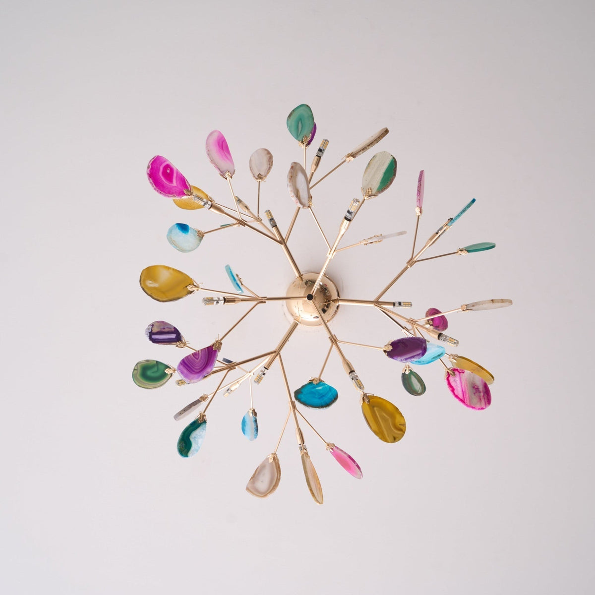 Agate Lustre à Branches Multicolores