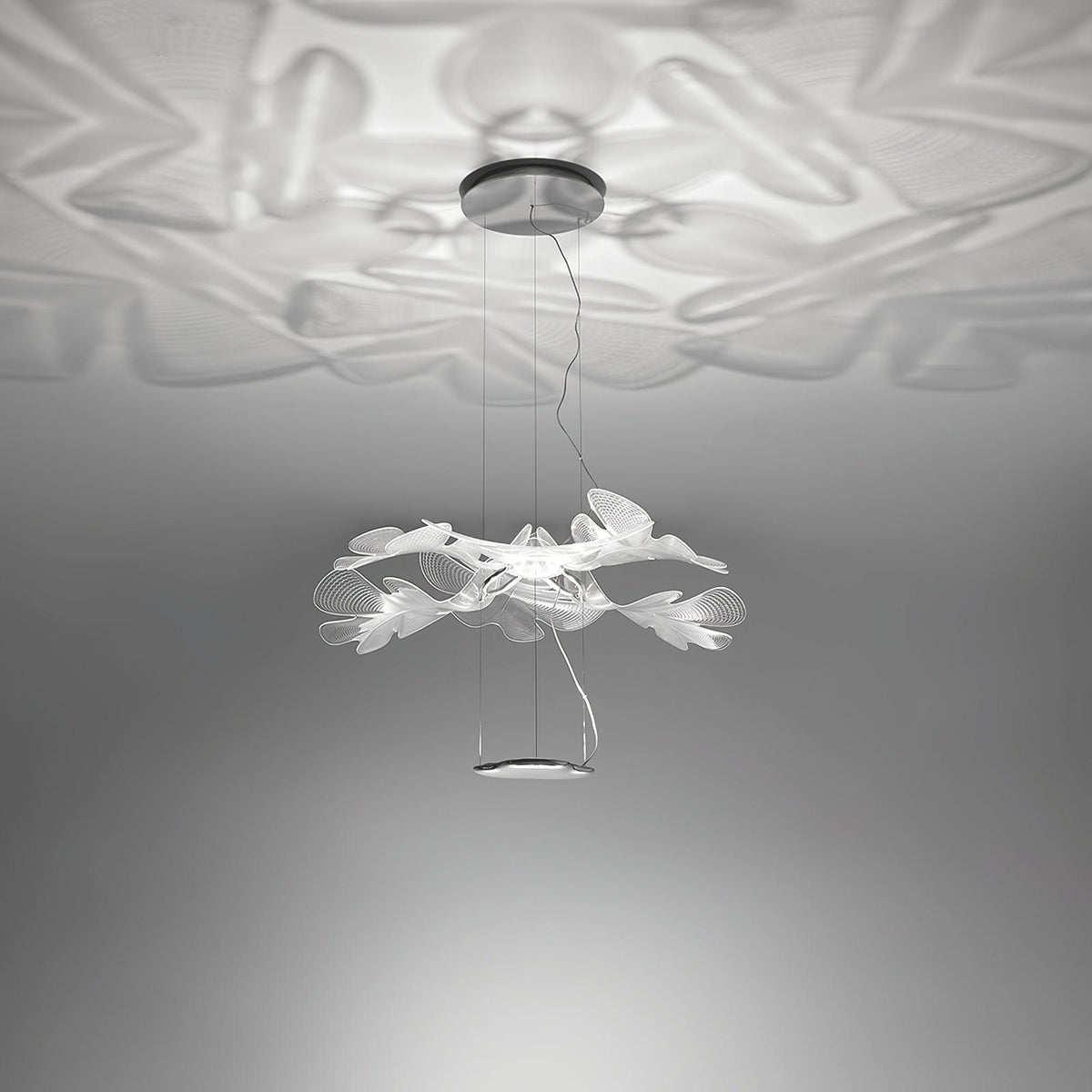 Tennul Suspension