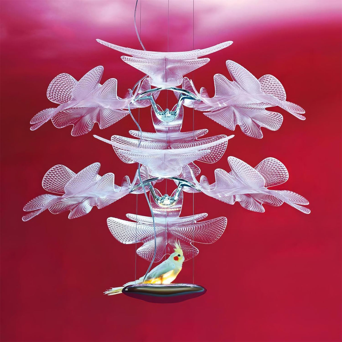 Tennul Suspension